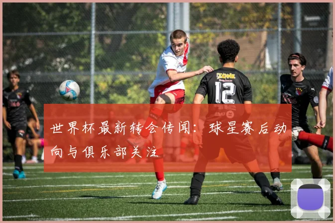 世界杯最新转会传闻：球星赛后动向与俱乐部关注